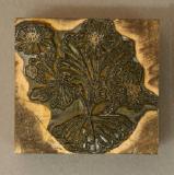 Click for more details.